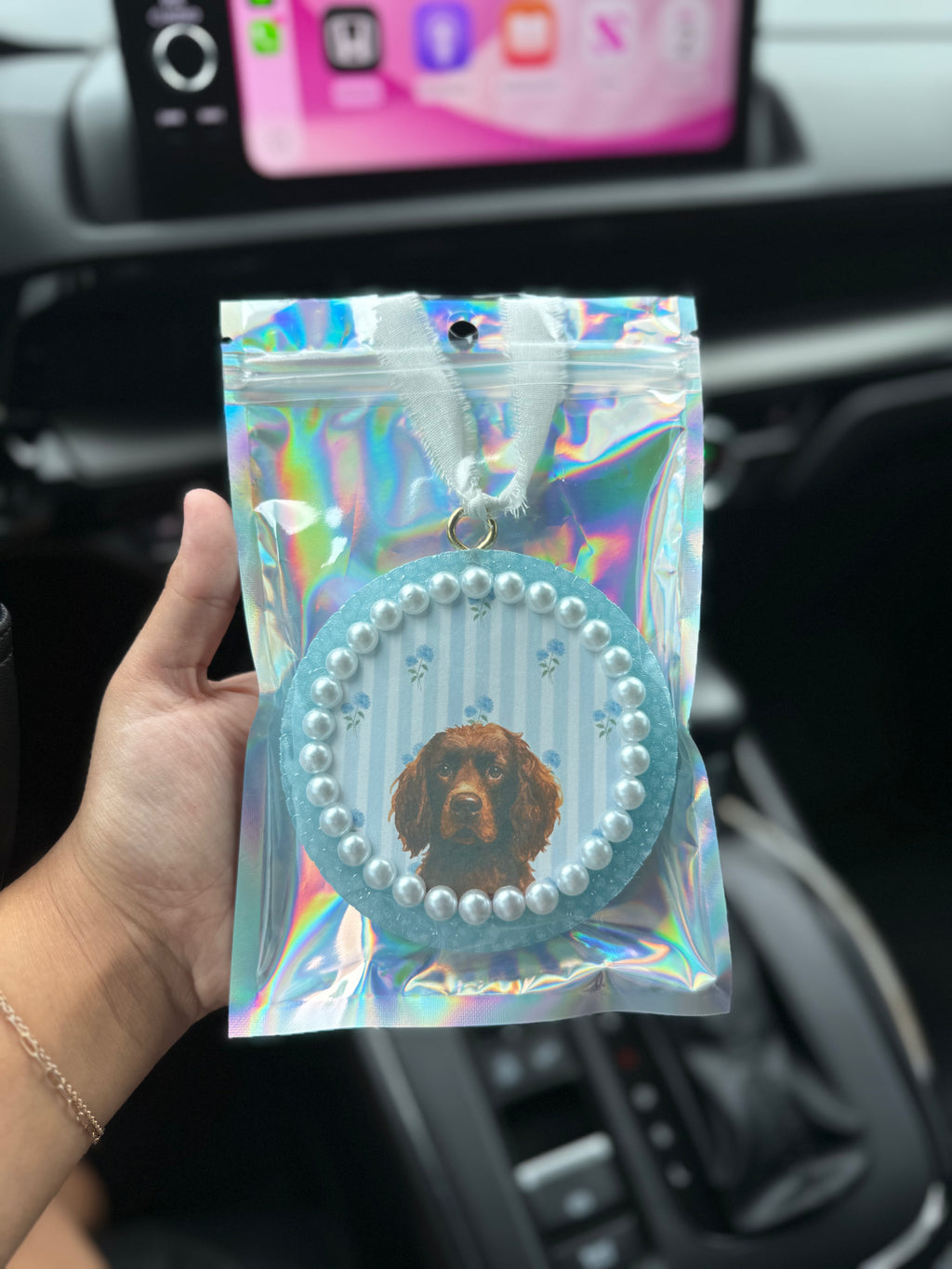 Boykin Car Freshie- Blue